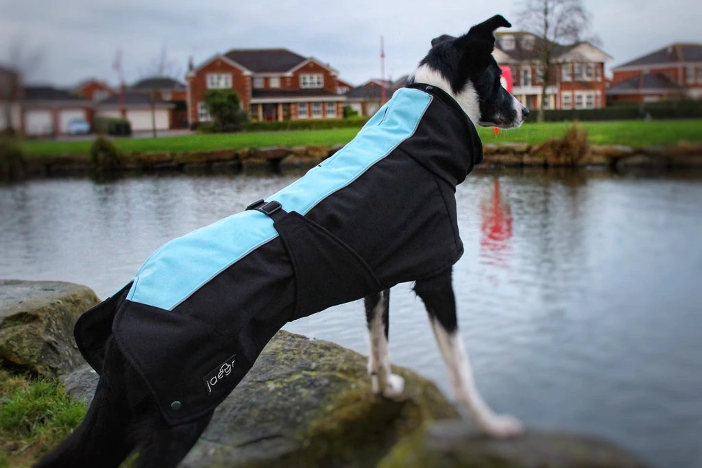 Jaegr Supreme Dog Coat - Highlighter Range - by Jaegr Dogwear-3