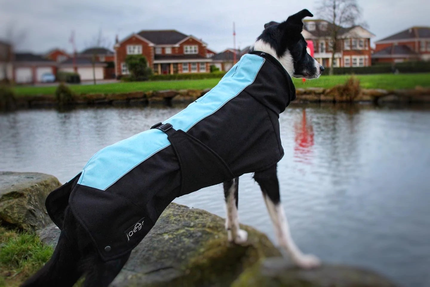 Jaegr Supreme Dog Coat - Highlighter Range - by Jaegr Dogwear-3