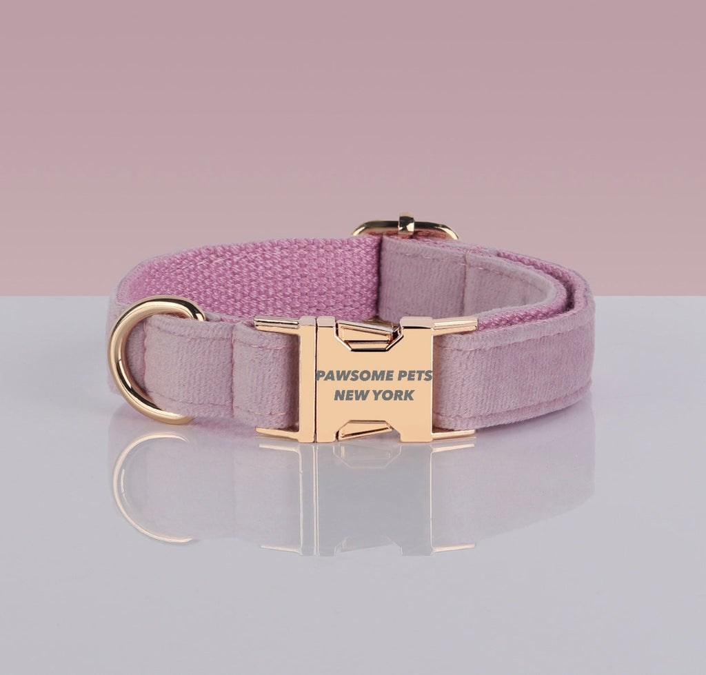 PAWSOME DOG COLLAR - #10-0