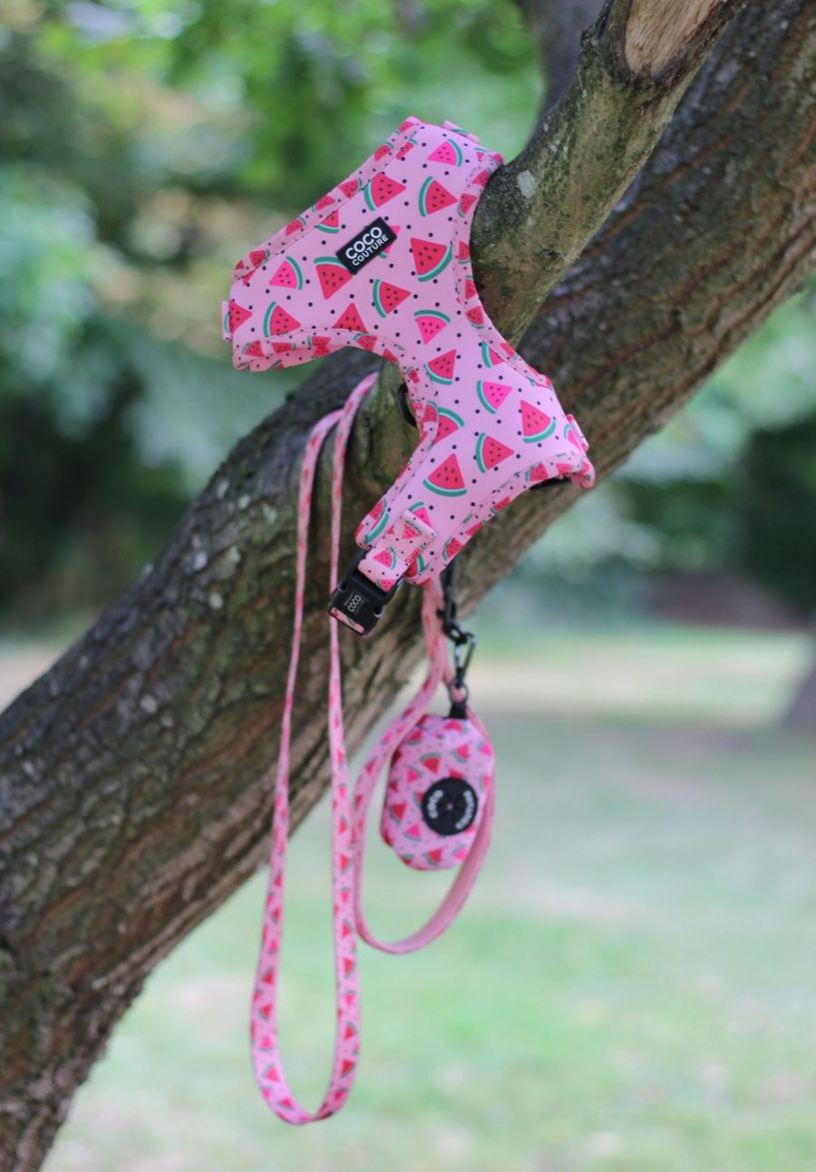 One in a Melon Adjustable Dog Harness – by Coco Couture-3