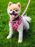 One in a Melon Adjustable Dog Harness – by Coco Couture-10