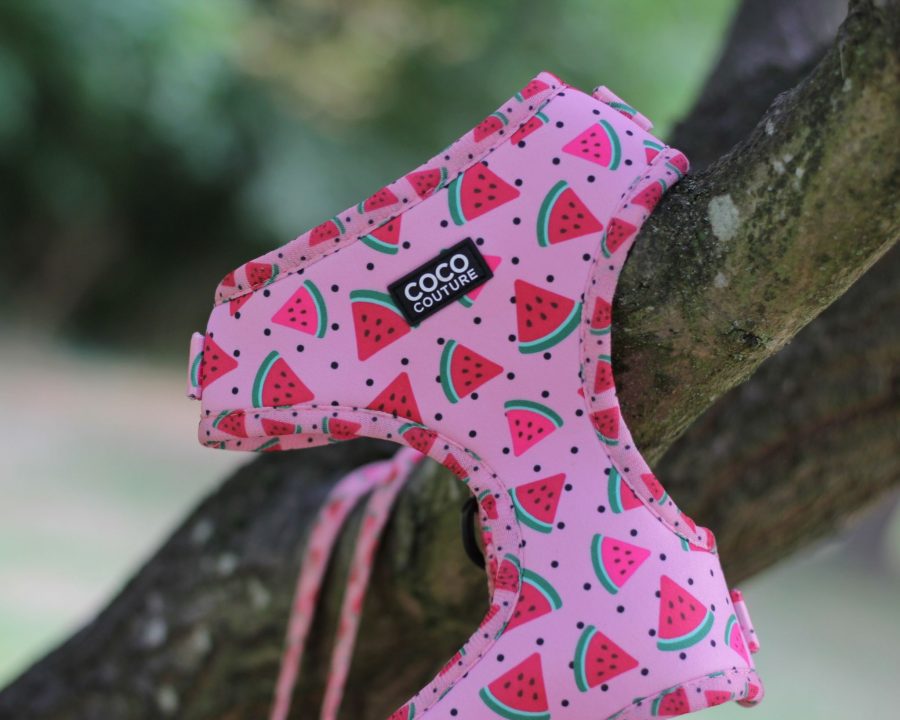 One in a Melon Adjustable Dog Harness – by Coco Couture-2
