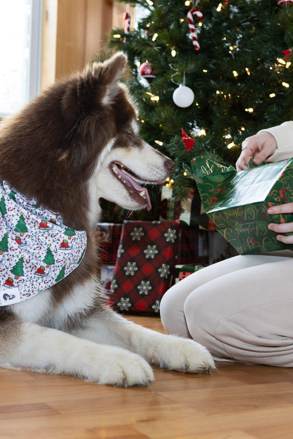 Howliday Cheer Dog Bandana-3