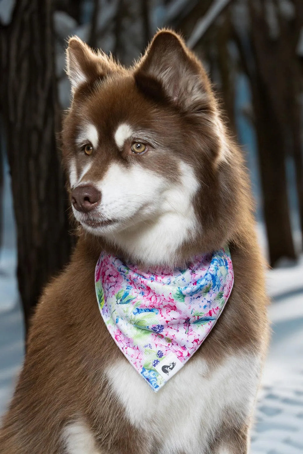 Hydrangea Haven Dog Bandana-1
