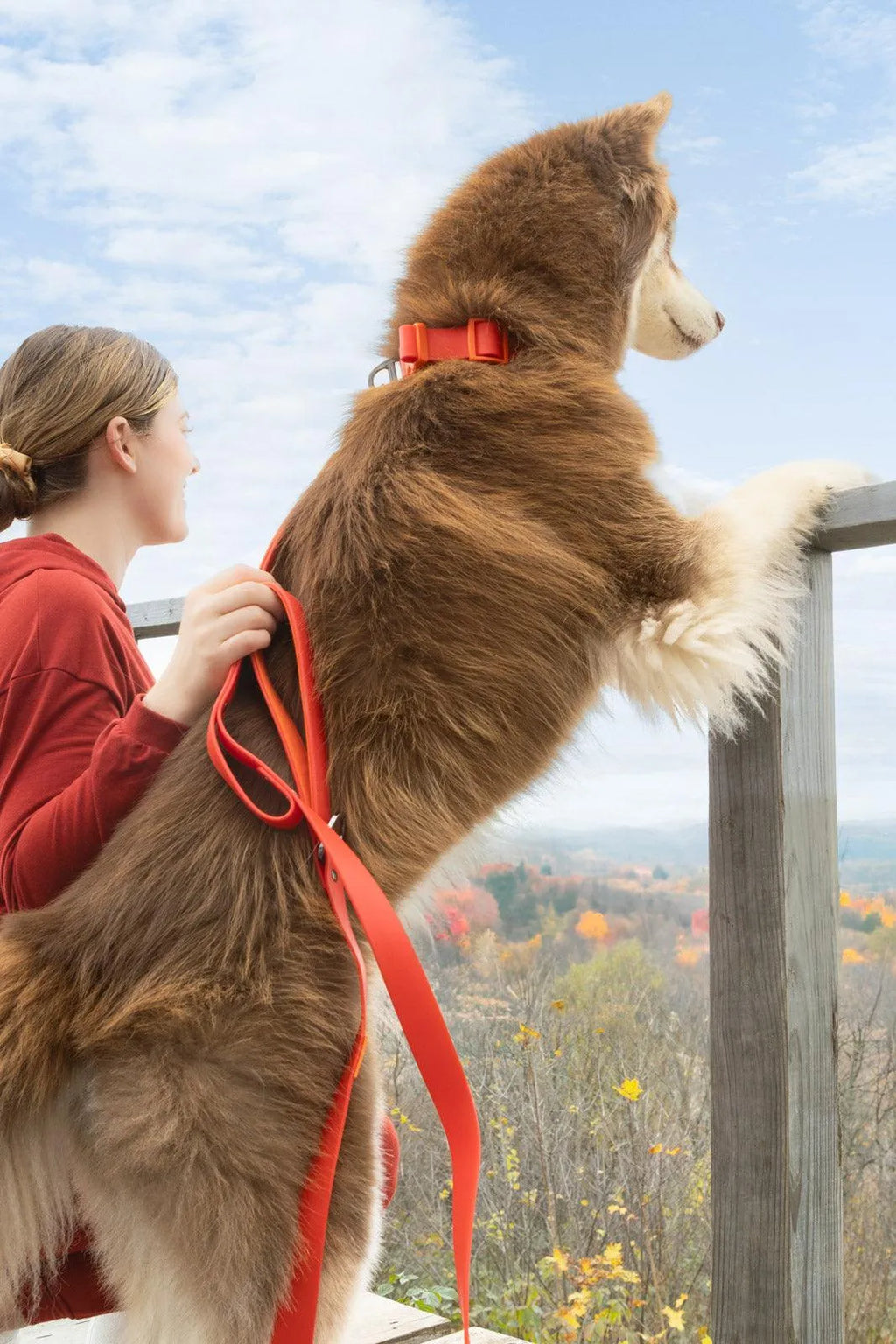 Scarlet Peaks Waterproof Dog Collar-3