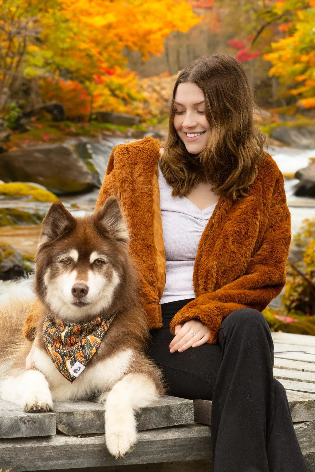 Foxes in Fall Dog Bandana-2