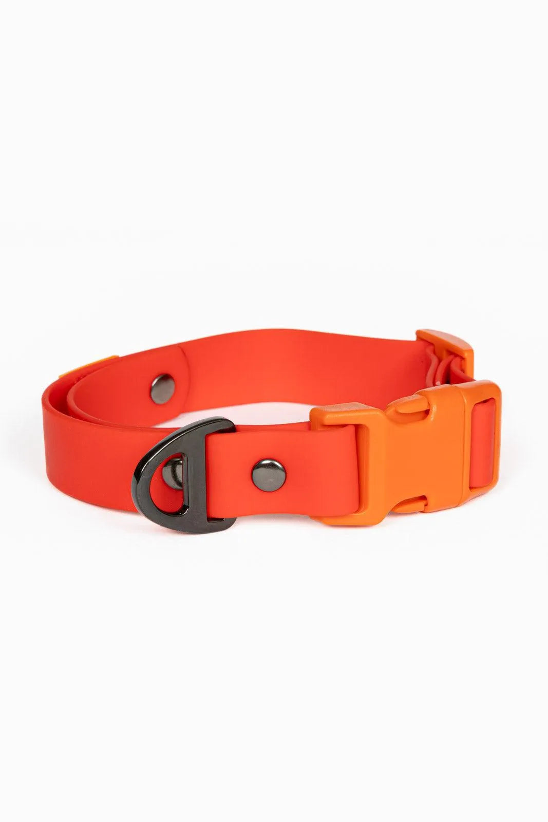 Scarlet Peaks Waterproof Dog Collar-5