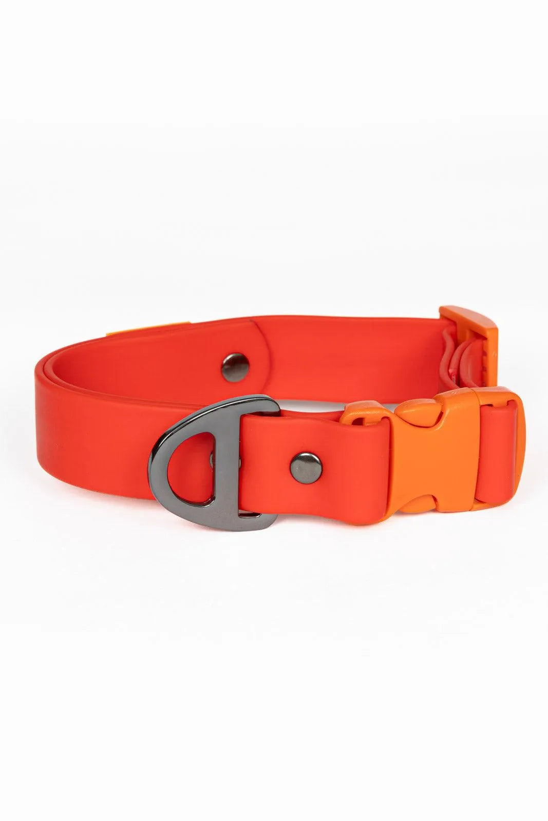 Scarlet Peaks Waterproof Dog Collar-0