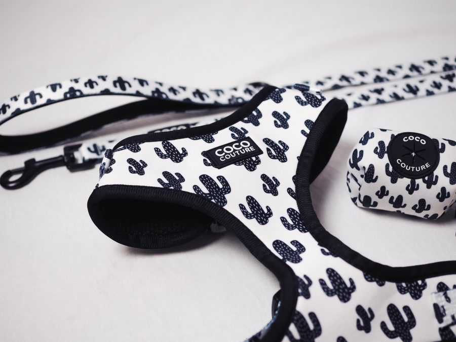 Prickly Paws Adjustable Dog Harness – by Coco Couture-2