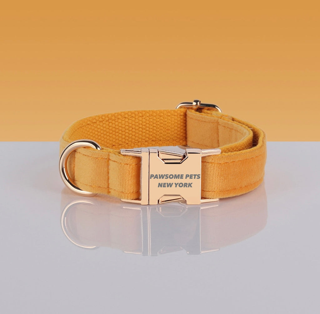 PAWSOME DOG COLLAR - #4-0