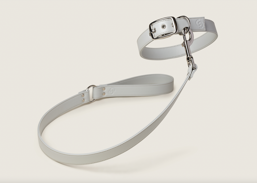 Ice blue vegan apple leather dog collar