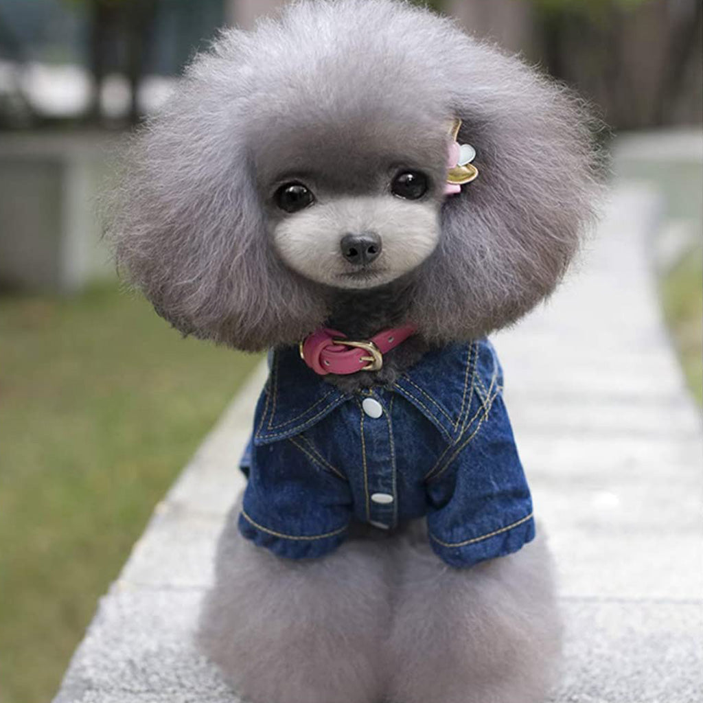 Acid Denim Dog Jacket by Doggy Doo Little-1