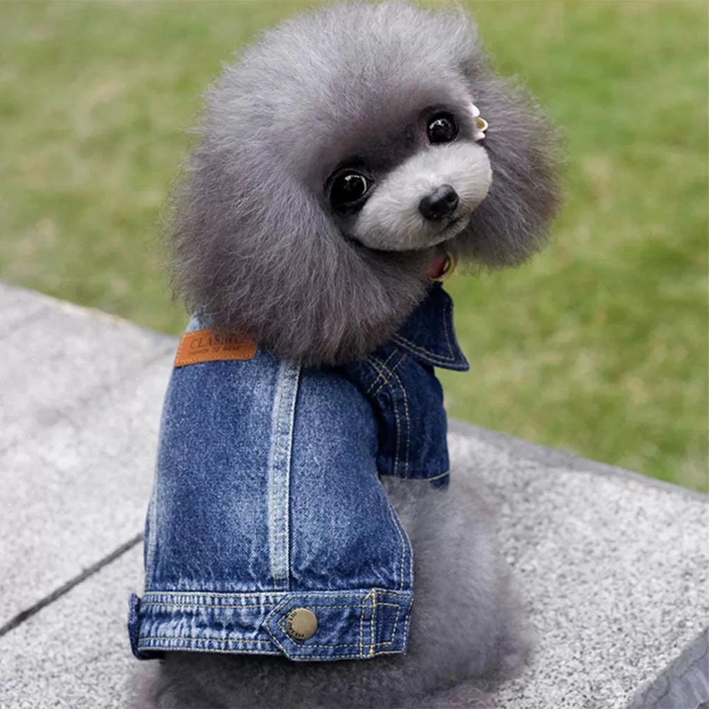 Acid Denim Dog Jacket by Doggy Doo Little-2