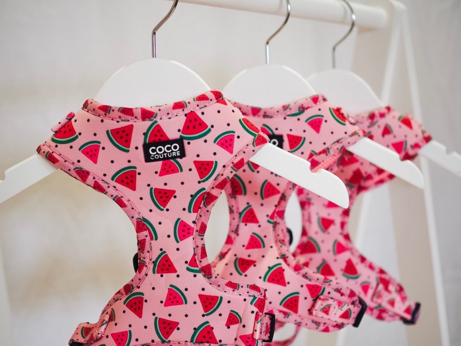 One in a Melon Adjustable Dog Harness – by Coco Couture-0