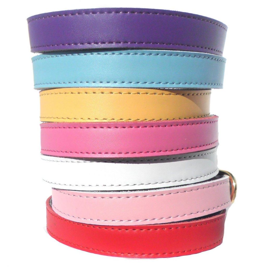 Plain Chelsea Dog Collars (4 sizes) 8-16"-1