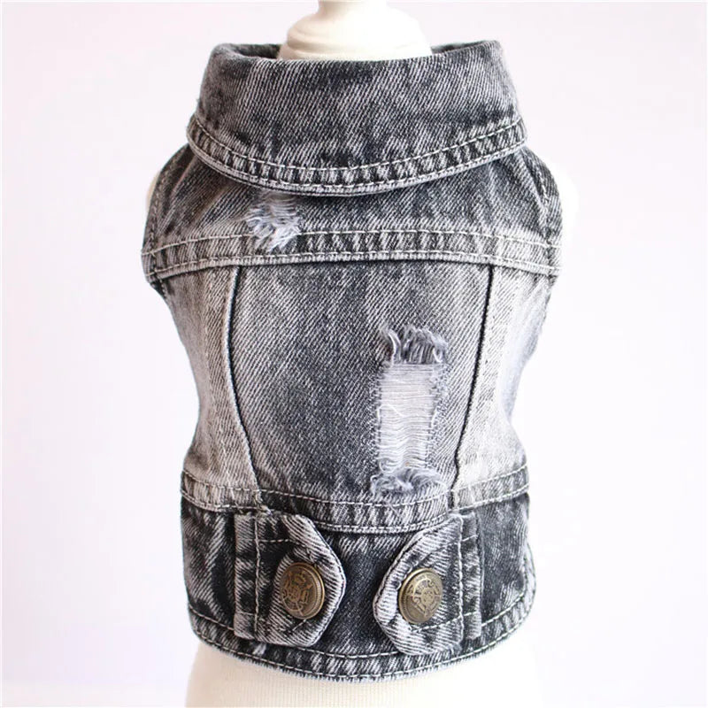Cool Jeans Jacket for Small Dogs-1