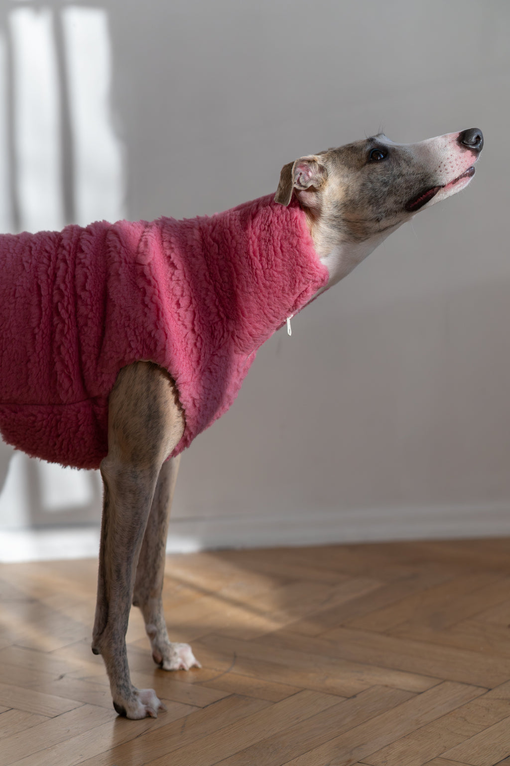 Woolen Dog Vest - Pink-2