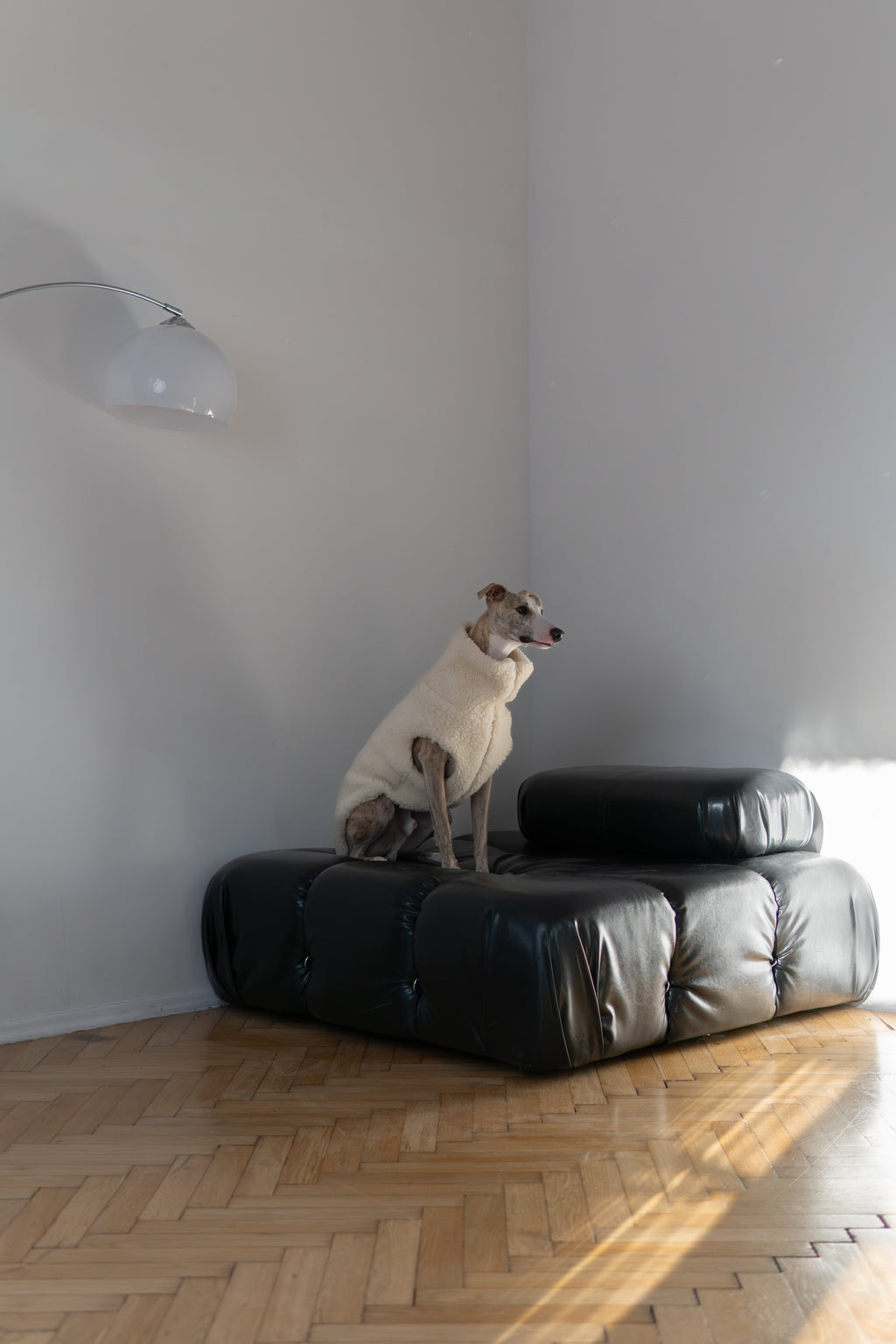 Woolen Dog Vest - White-3