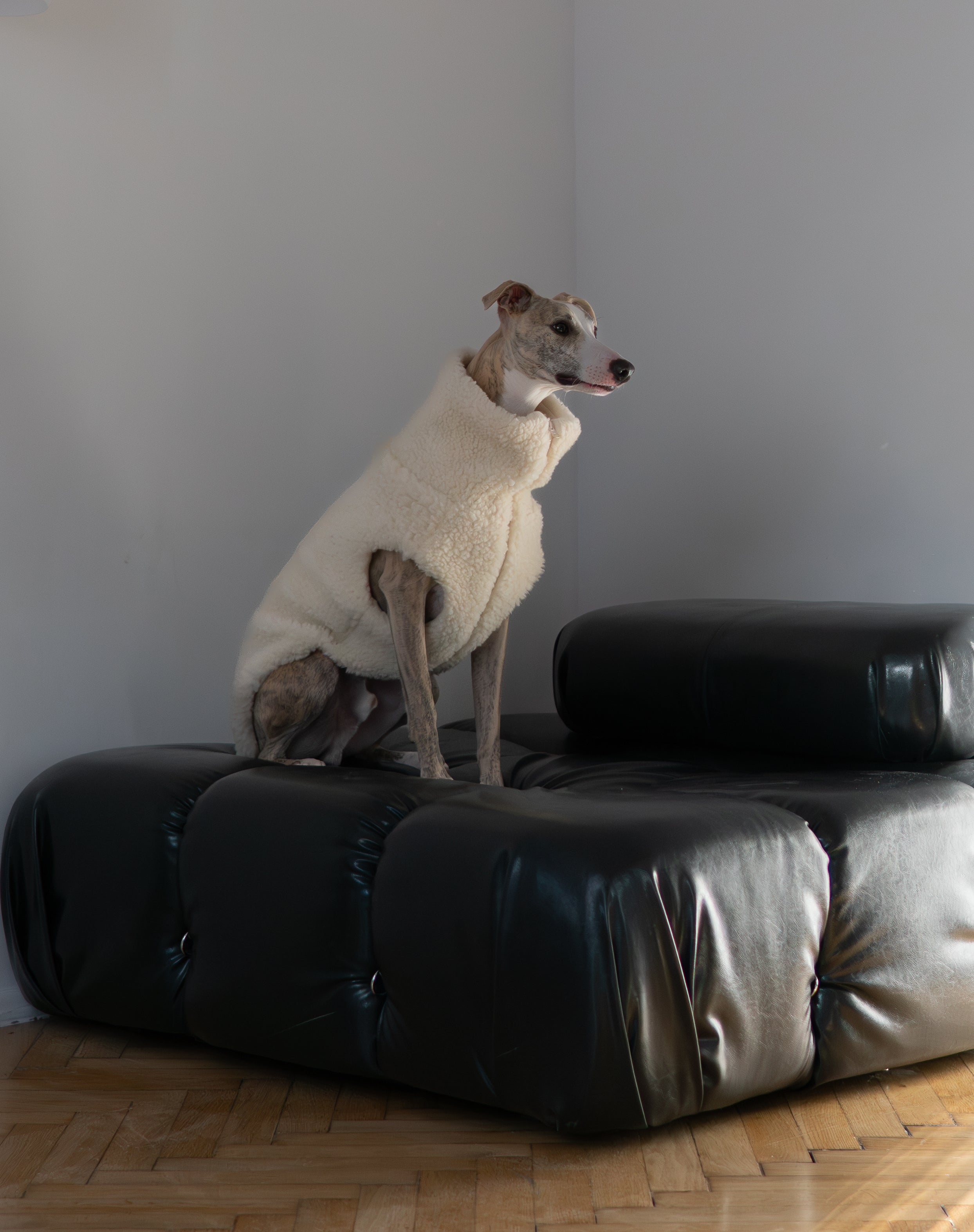 Woolen Dog Vest - White-1