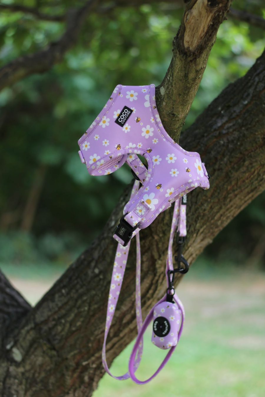 "Cute As Can Be" Adjustable Dog Harness – by Coco Couture-3