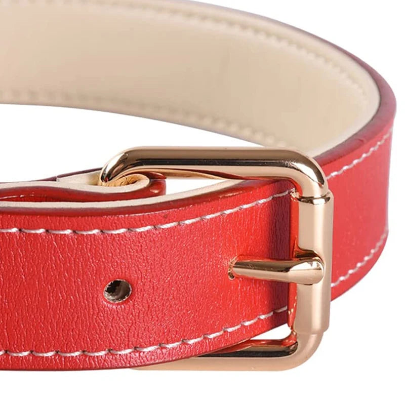Soft Leather Padded Collar