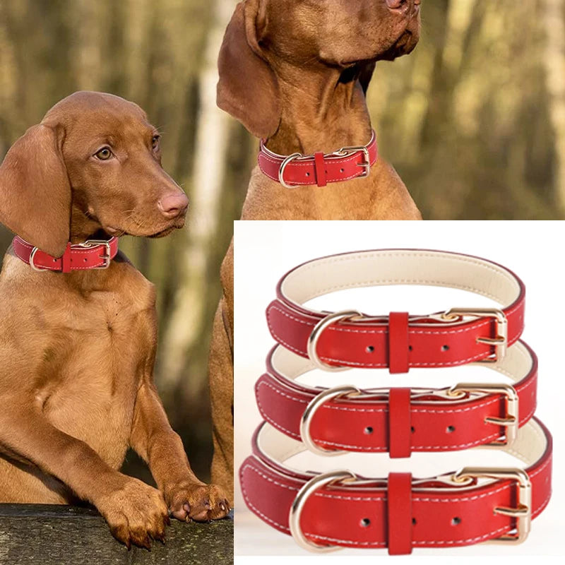 Soft Leather Padded Collar