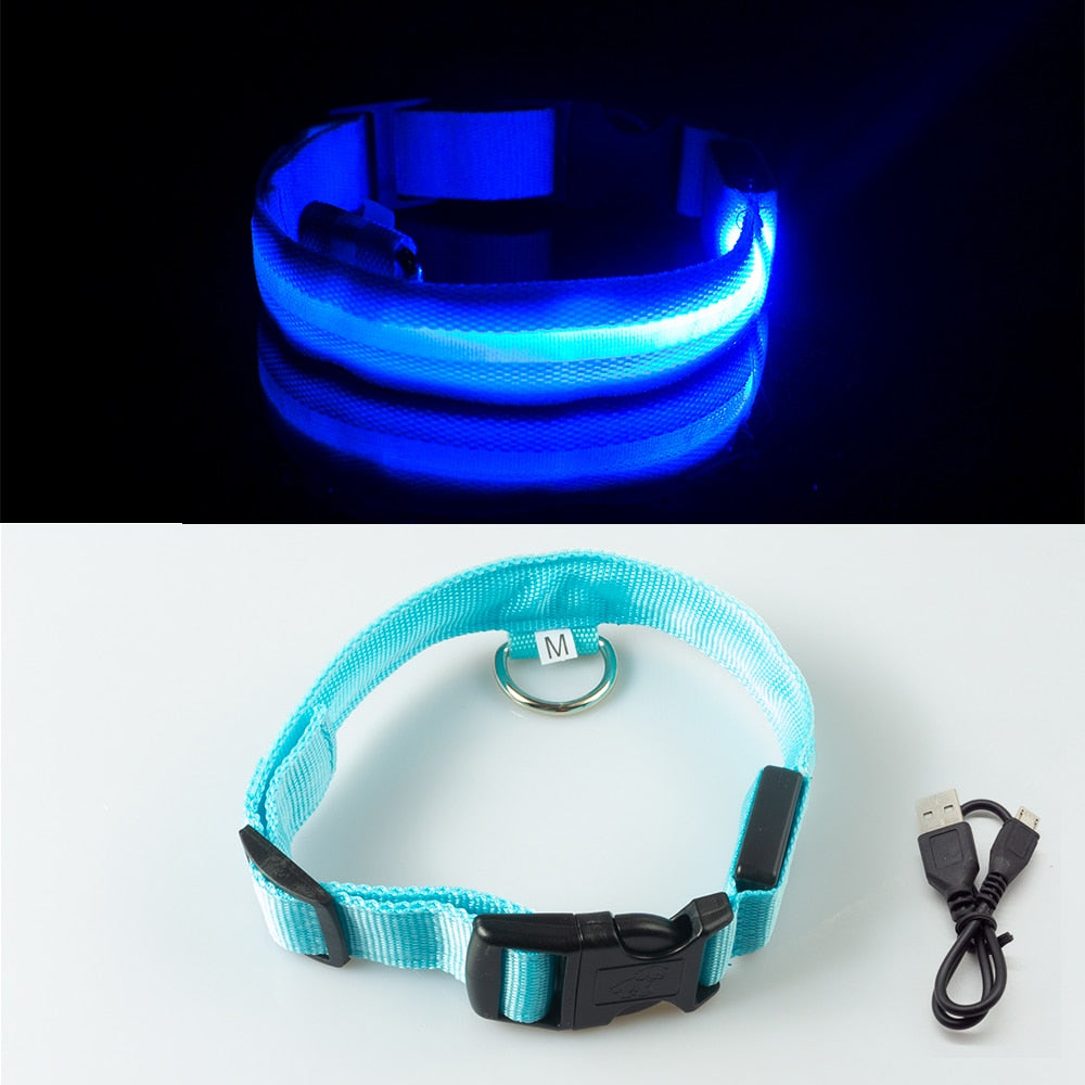NNEOBA Led Dog Collar Anti-Lost For Dogs-1
