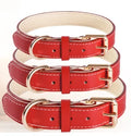Soft Leather Padded Collar