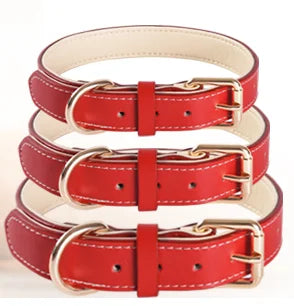 Soft Leather Padded Collar