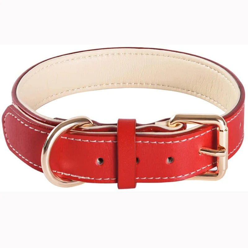 Soft Leather Padded Collar