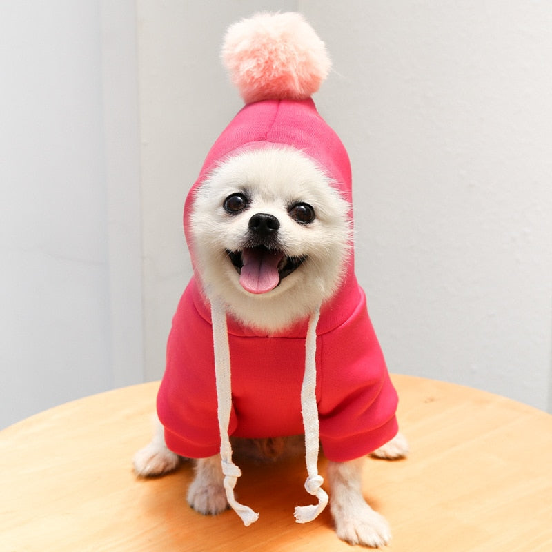 Cute Fruit Dog Clothes for Small Dogs hoodies Warm Fleece Pet Clothing Puppy Cat Costume Coat for French Chihuahua Jacket Suit-1