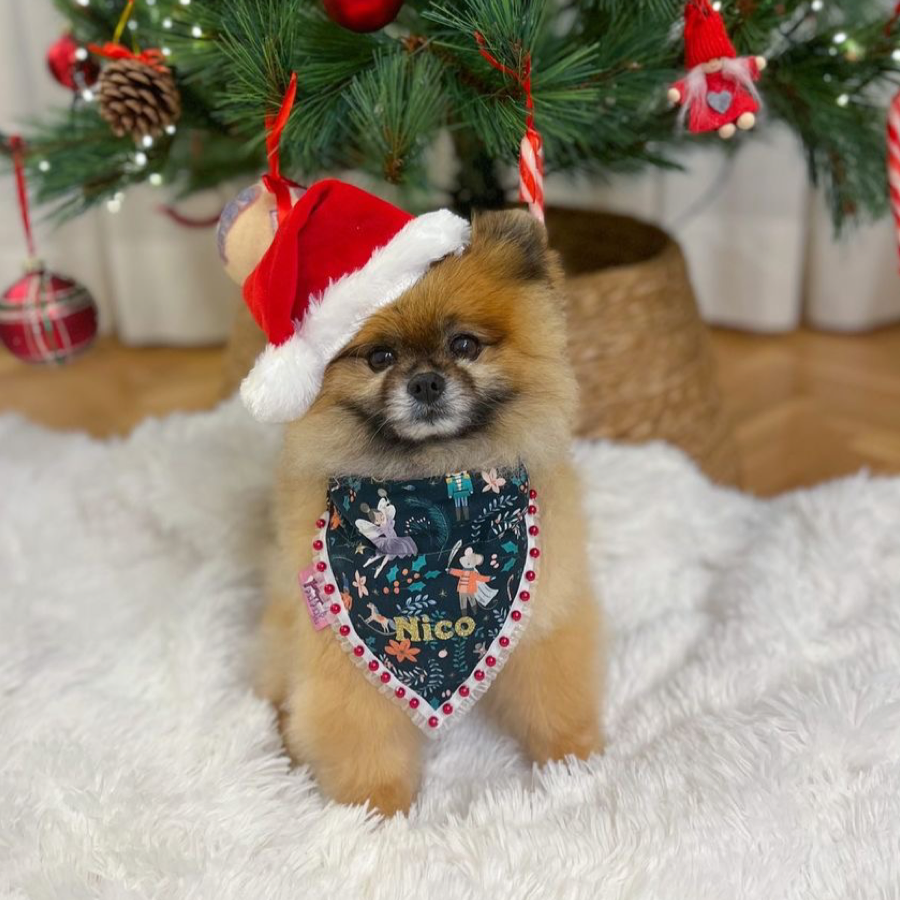 Christmas Dog Bandana - Sugar Plum Fairy