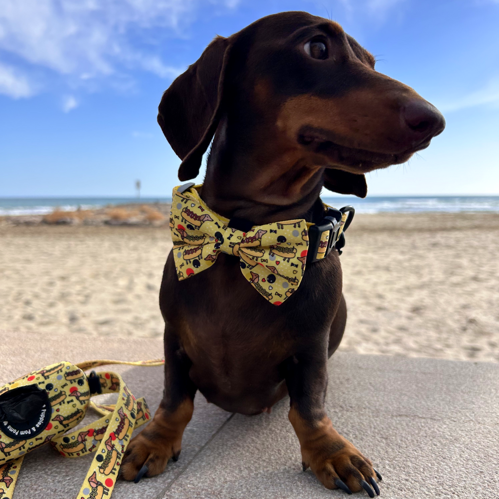 Dog Bow Tie - Hot Dog Dachshunds-4