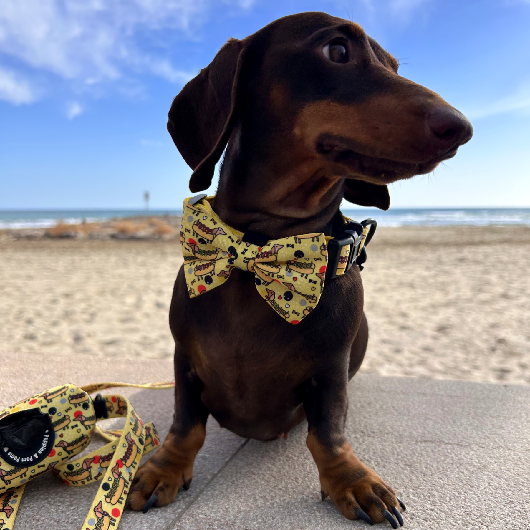 Dog Bow Tie - Hot Dog Dachshunds-4