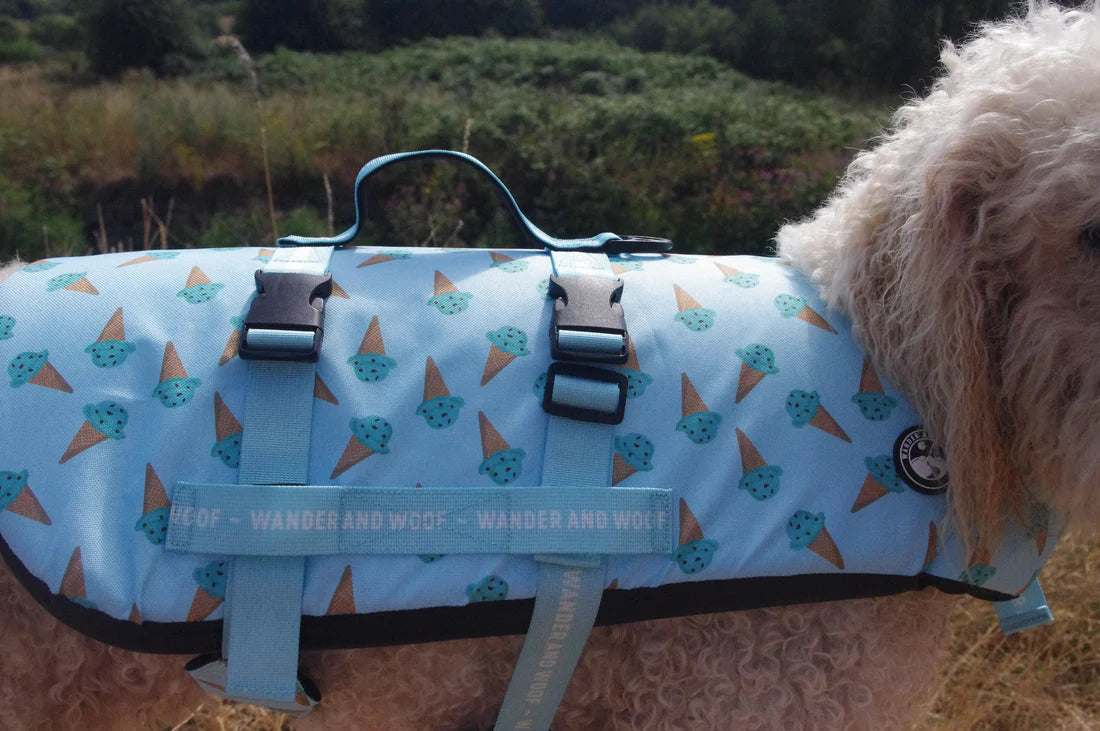 Iced Adventure Dog Float by Wander and Woof-6