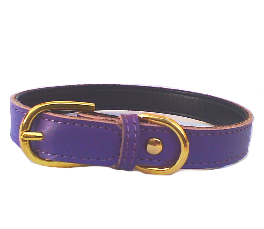 Plain Chelsea Dog Collars (4 sizes) 8-16"-5