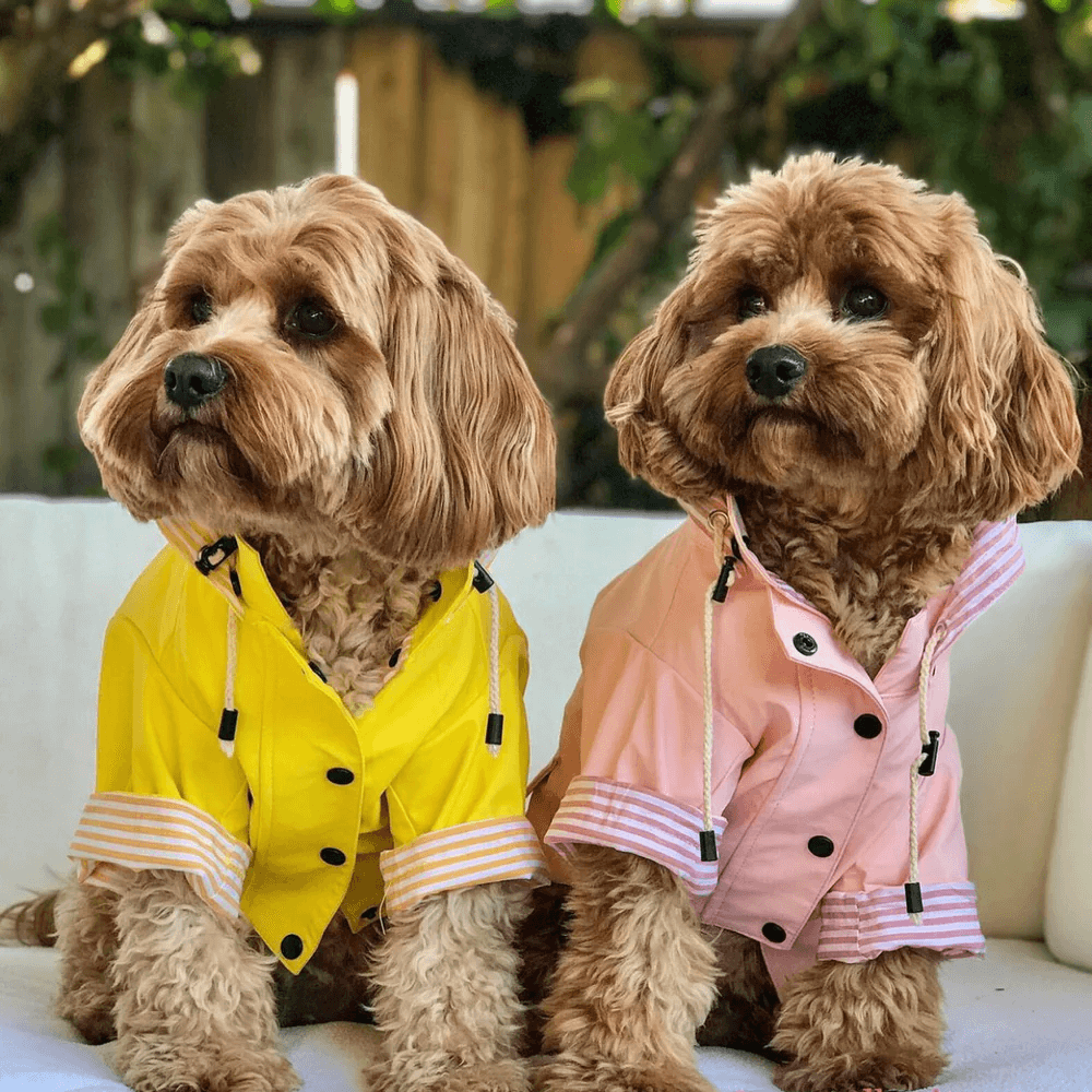 Sloane Waterproof Dog Rain Jacket (Lemon) – by The Paw Co.-1