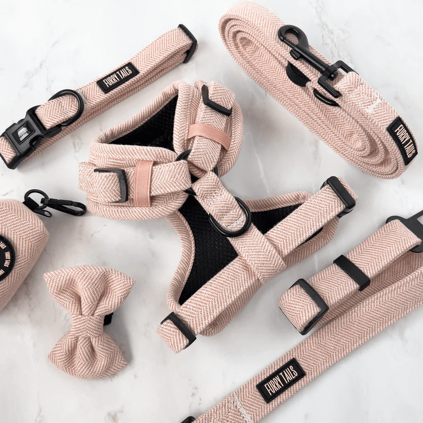 Dog Harness (Full Set) (Peaches) – Dog Harness, Dog Collar, Dog Lead, Dog Poo Holder, Dog Bow Tie – by Furry Tails-2