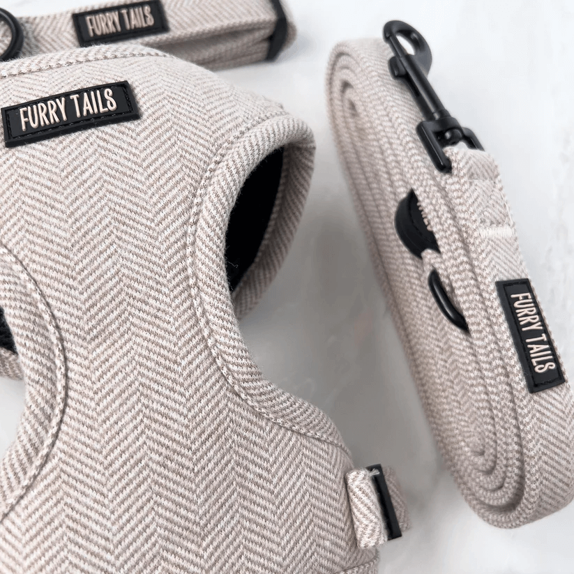 Dog Harness (Full Set) (Coco) – Dog Harness, Dog Collar, Dog Lead, Dog Poo Holder, Dog Bow Tie – by Furry Tails-3