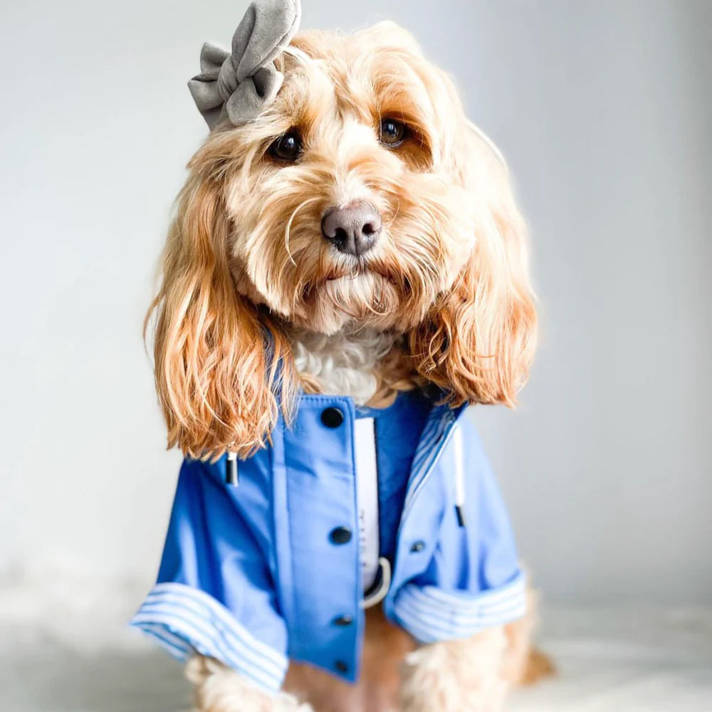 Sloane Waterproof Dog Rain Jacket (Navy) – by The Paw Co.-4