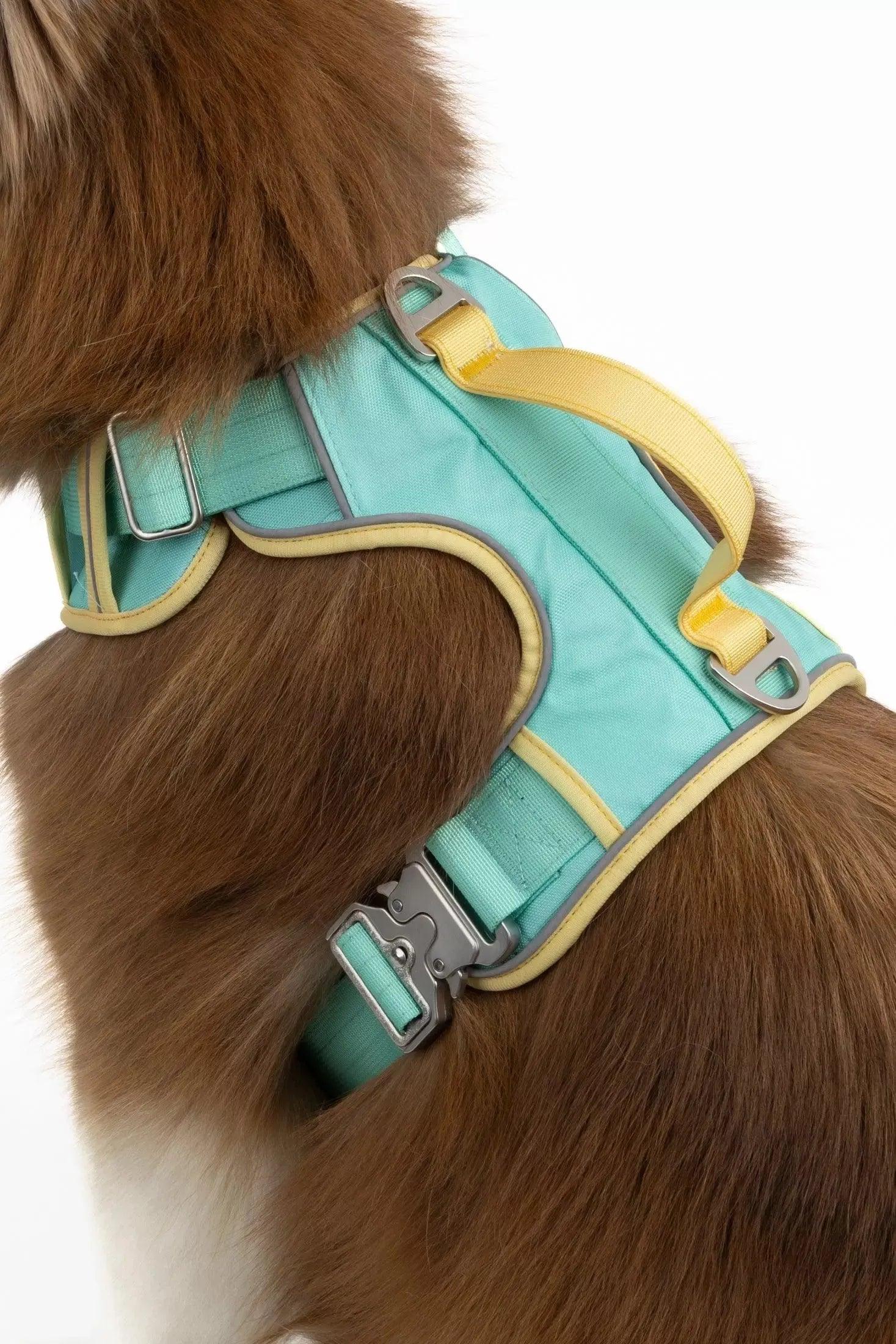 Island Vibes Ultimate Dog Harness-1