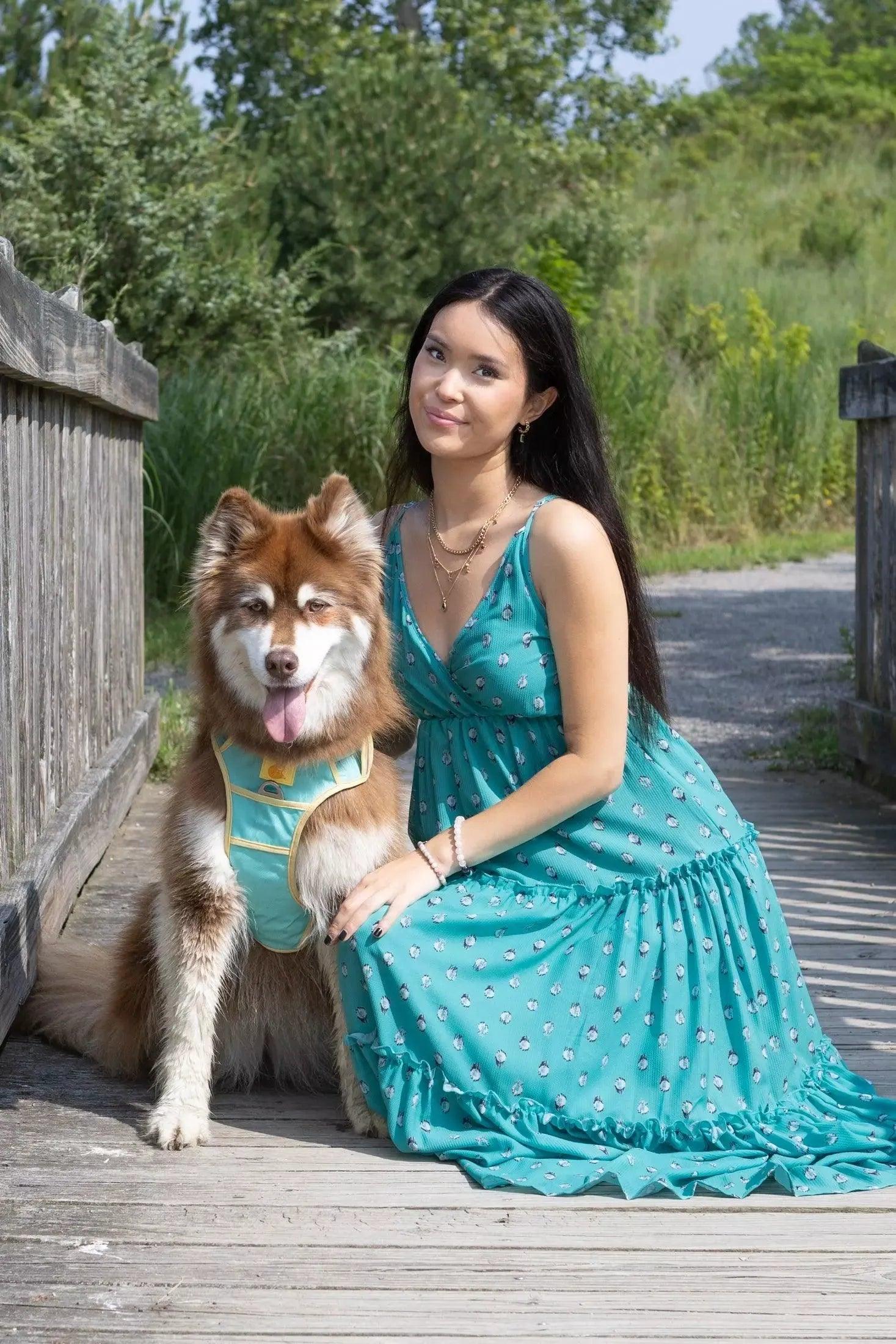 Island Vibes Ultimate Dog Harness-3