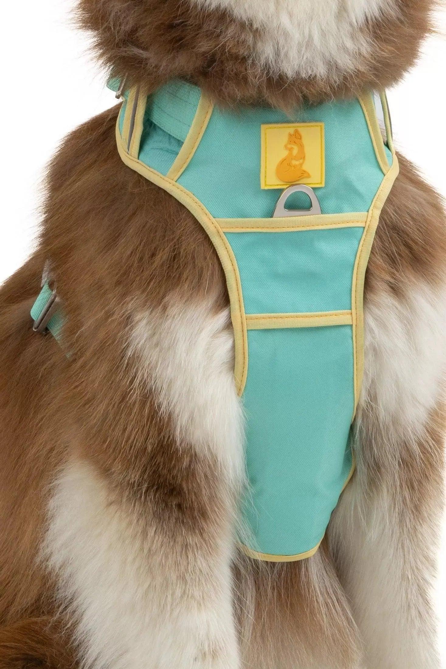 Island Vibes Ultimate Dog Harness-4