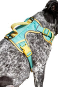 Island Vibes Ultimate Dog Harness-0