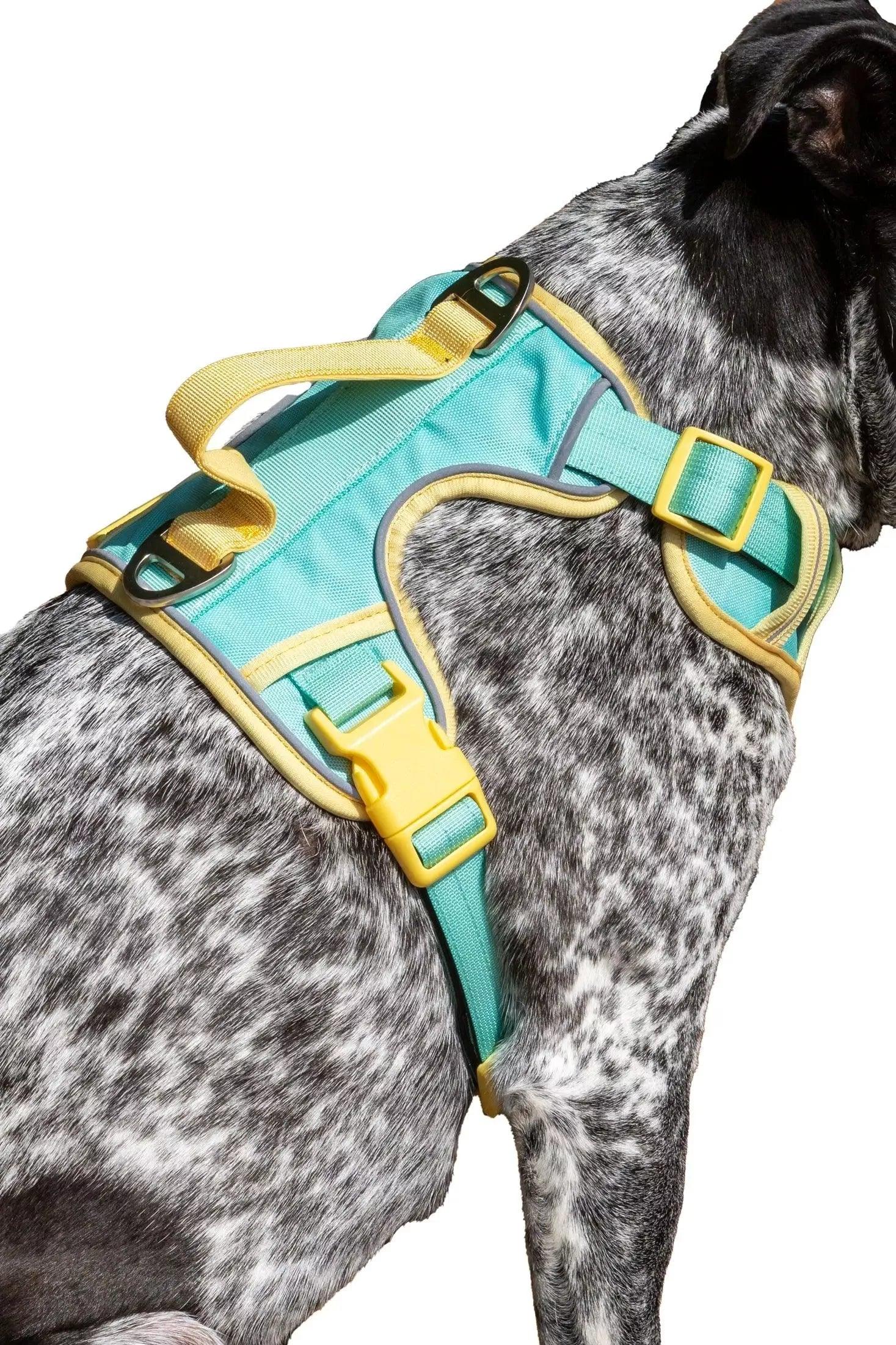 Island Vibes Ultimate Dog Harness-0
