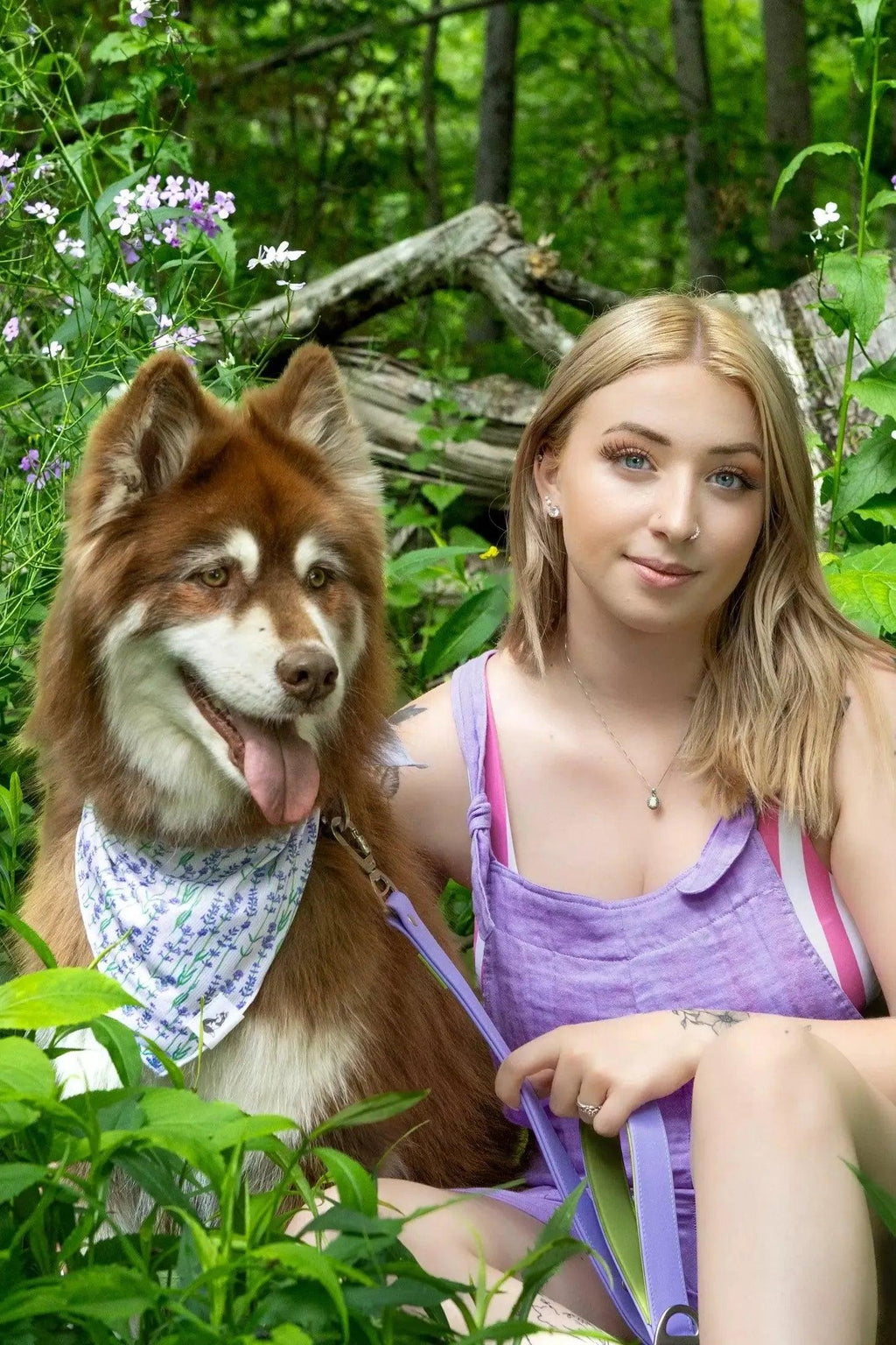 Lavender Blooms Dog Bandana-2