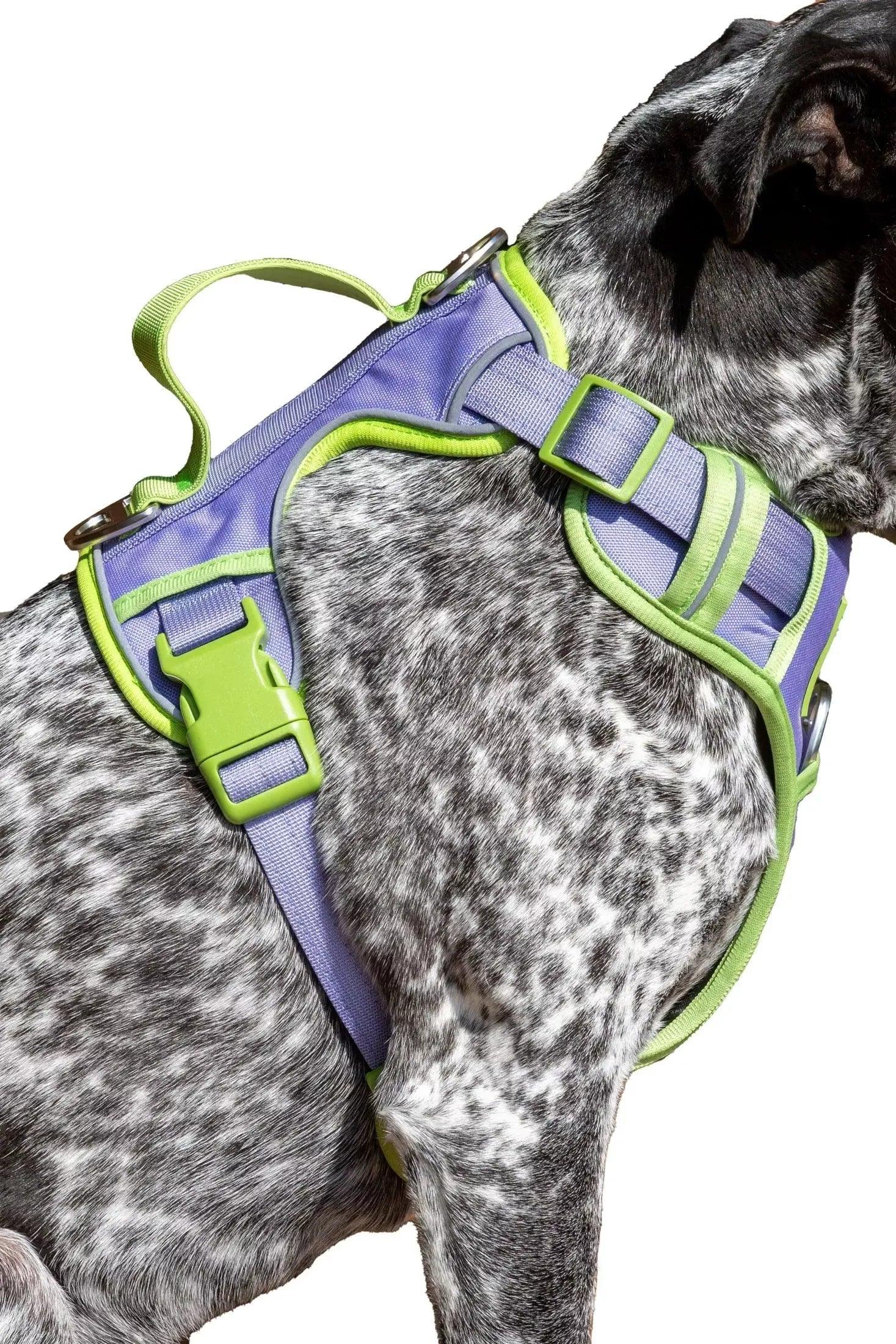 Lavender Garden Ultimate Dog Harness-5