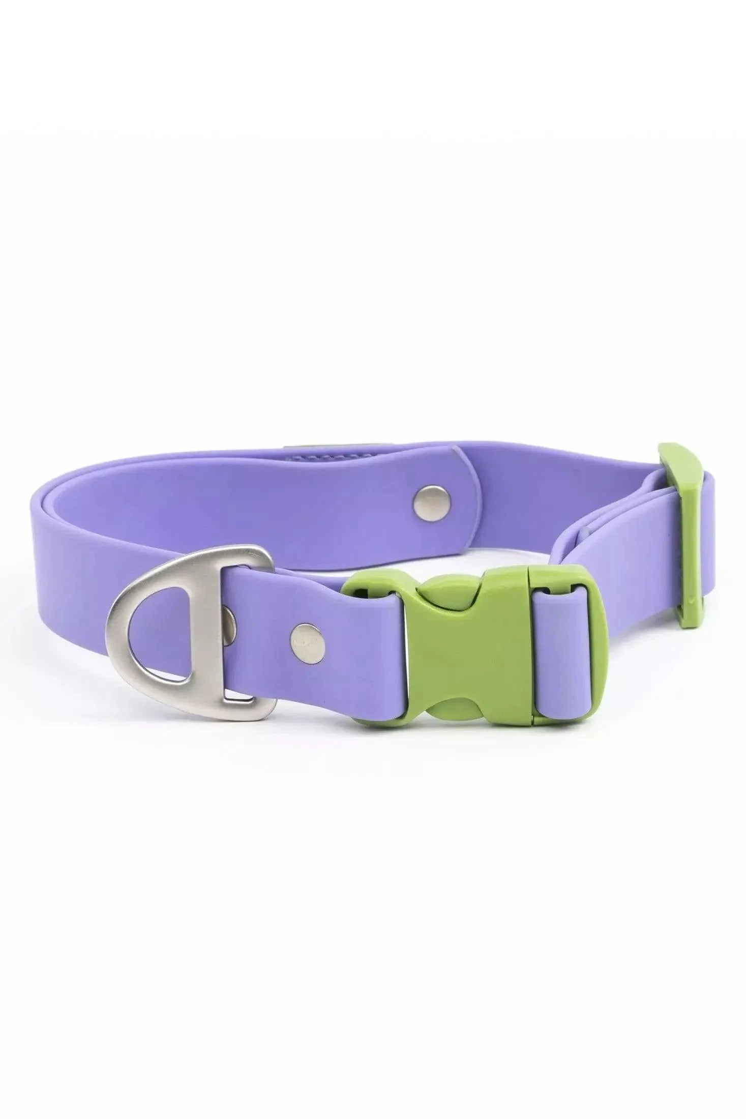 Lavender Garden Waterproof Dog Collar-0