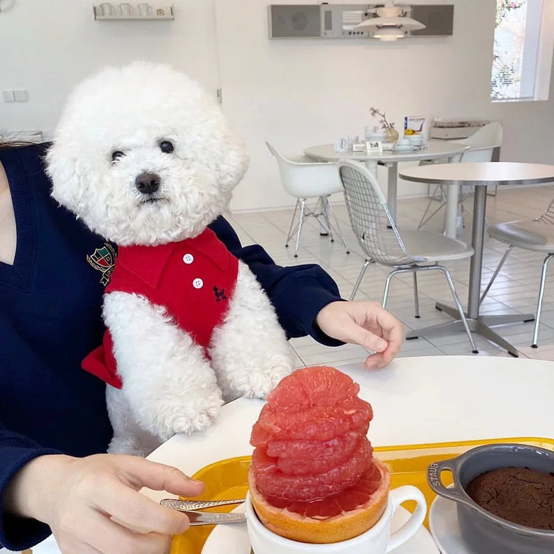 New Pet Dog Polo Shirt for Small Dogs