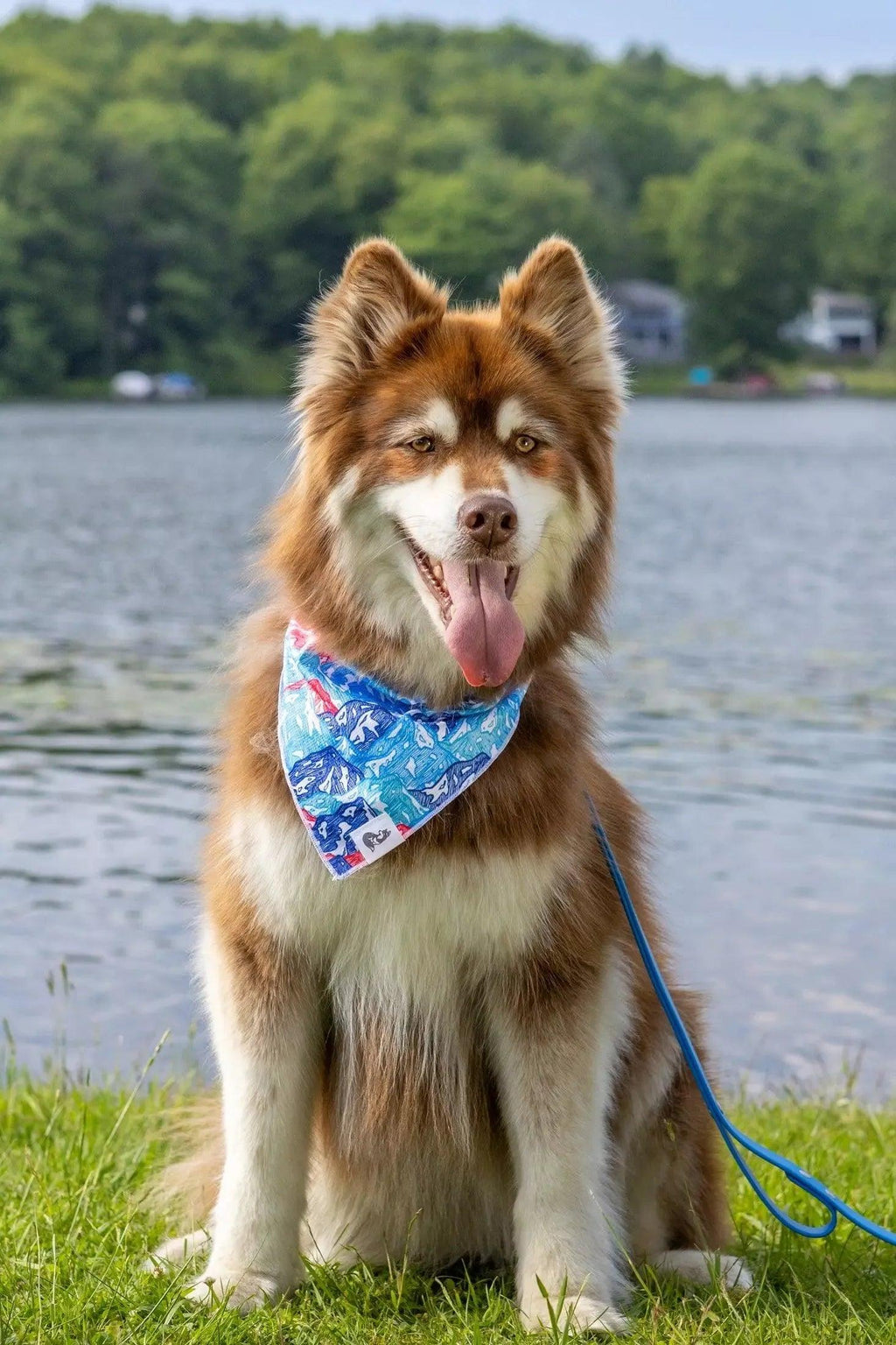 Painted Peaks Dog Bandana-1